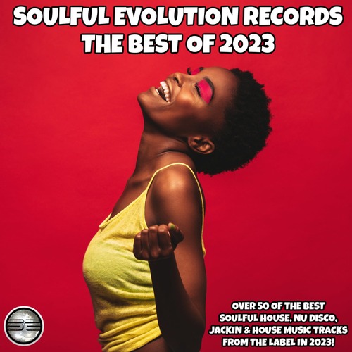 VA - Soulful Evolution Records The Best of 2023