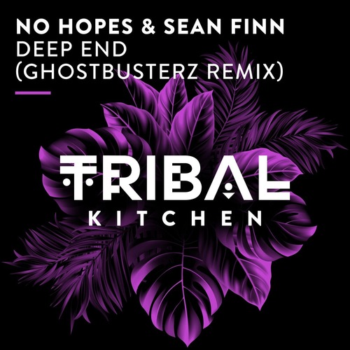 Sean Finn, No Hopes - Deep End (Ghostbusterz Remix)