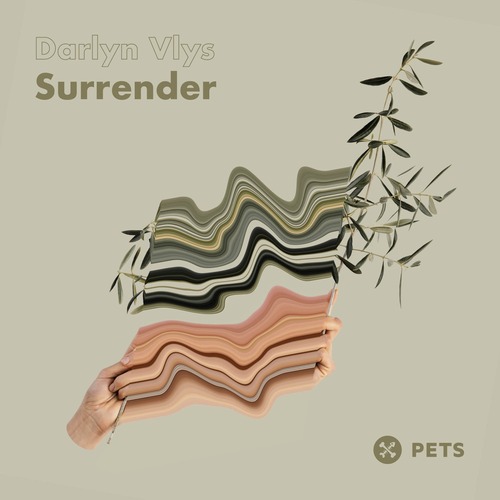 Darlyn Vlys - Surrender EP