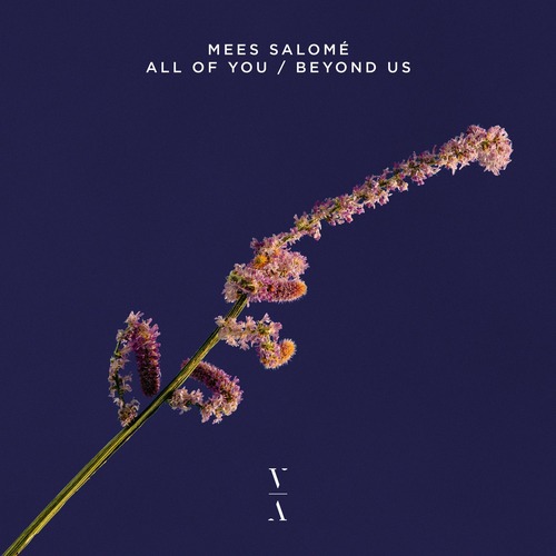 Mees Salom&#233;, ALLKNIGHT - All Of You / Beyond Us