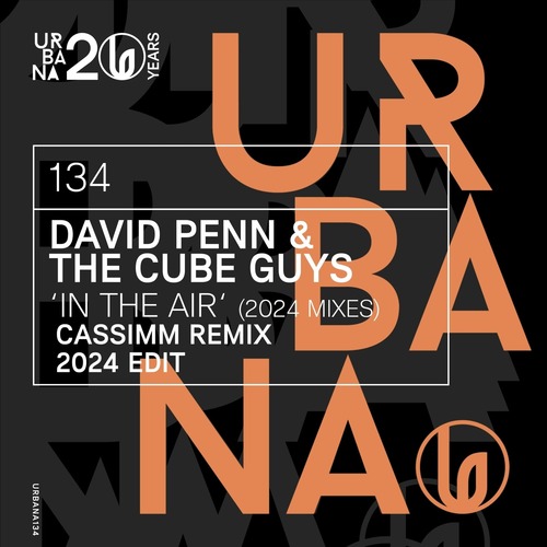 David Penn, The Cube Guys - In The Air (2024 mixes)