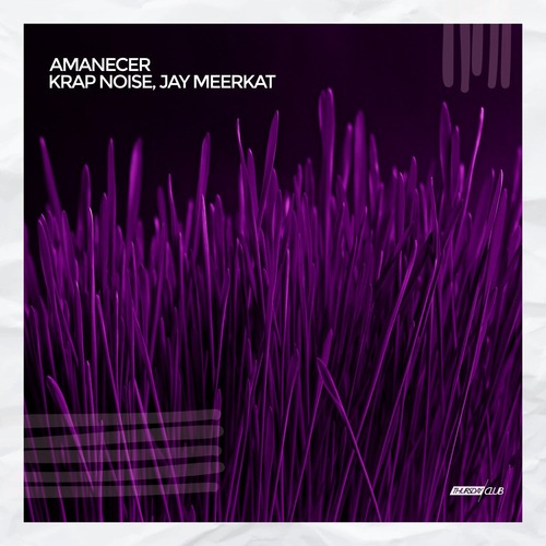 Krap Noise, Jay Meerkat - Amanecer