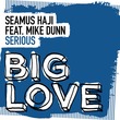 Seamus Haji, Mike Dunn - Serious (Extended Mix)