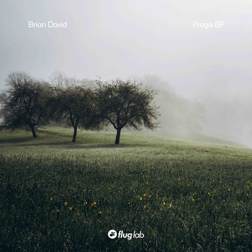 Brian David - Praga