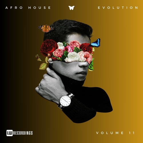 VA - Afro House Evolution, Vol. 11