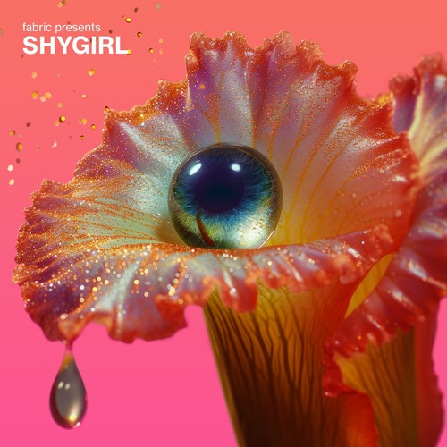 VA - fabric presents Shygirl [ FABRIC219D ]