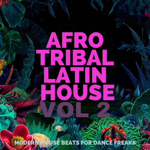 VA - Afro Tribal Latin House, Vol. 2