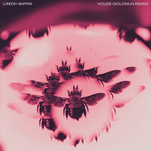 Solomun, London Grammar - House (Solomun Extended Remix)