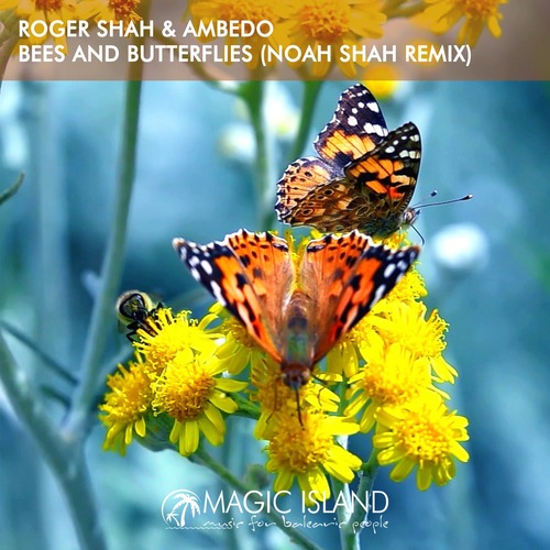 Roger Shah, Ambedo - Bees And Butterflies (Noah Shah Extended Remix) 
