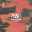 David Fesser - Slang EP