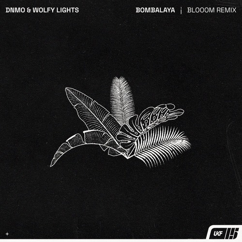 DNMO, Blooom, Wolfy Lights - Bombalaya - Blooom Remix
