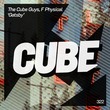The Cube Guys, F. Physical - Gatsby