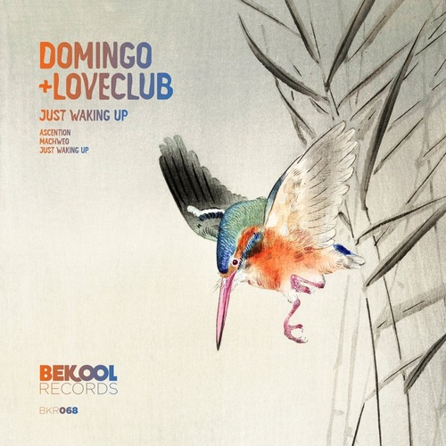 Loveclub, Domingo + - Just Waking Up
