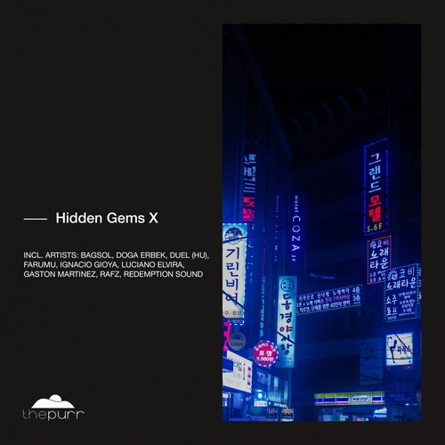 VA - Hidden Gems X
