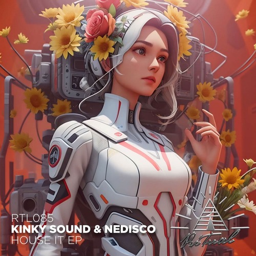 Kinky Sound, Nedisco - House It EP