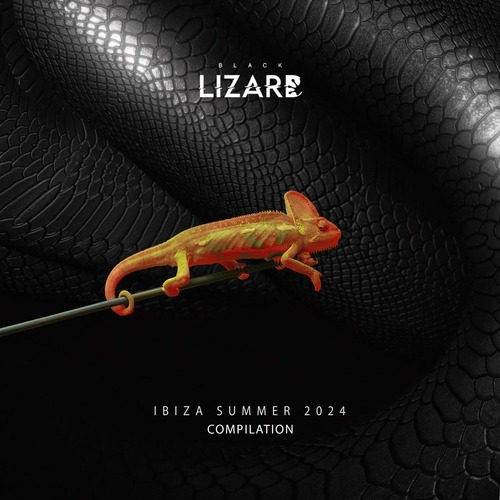 VA - Ibiza Summer Compilation 2024