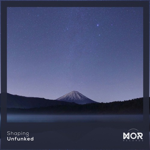Shaping - Unfunked (Original Mix)