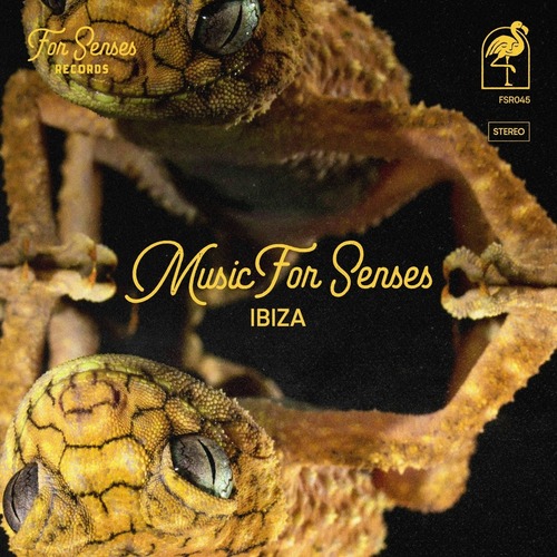 VA - Music for Senses - IBIZA 2024