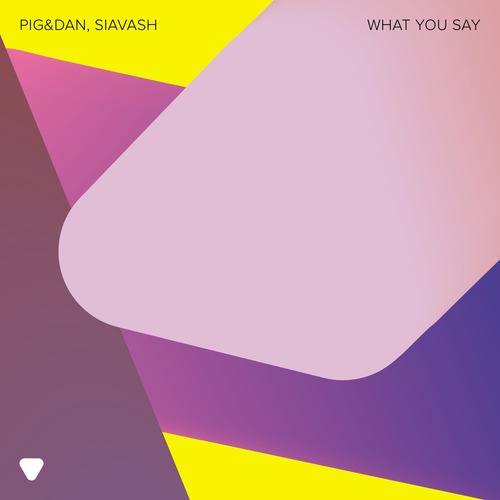 Pig&Dan, Siavash - What You Say (Extended Version)