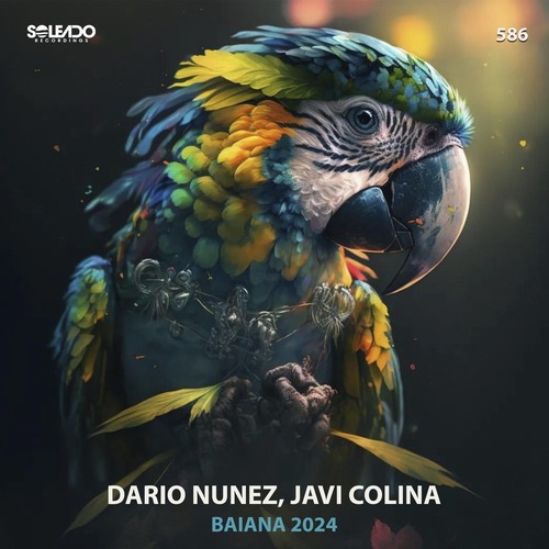 Dario Nunez, Javi Colina - BAIANA 2024 (ORIGINAL MIX)