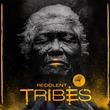 VA - Redolent Tribes, Vol.4 (Curated by DJ Chus)