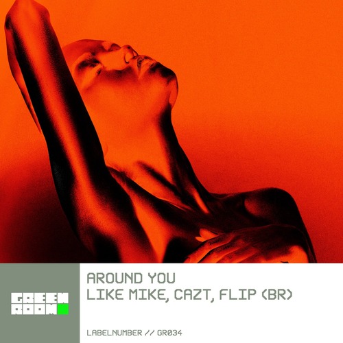 Like Mike, Cazt, Flip (BR) - Around You (Extended Mix)