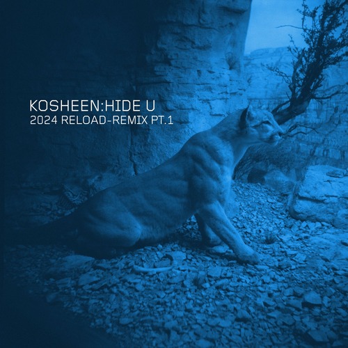 Kosheen - Hide U (2024 Reload-Remix, Pt. 1)