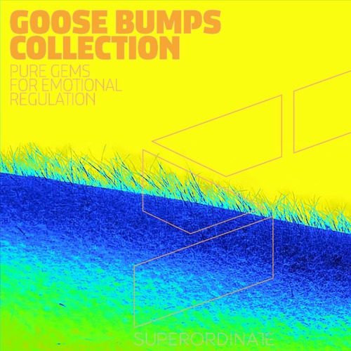 VA - Goose Bumps Collection, Vol. 12