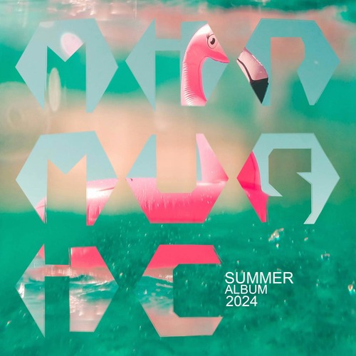 VA - Summer Album 2024