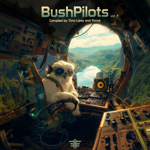 VA - Bush Pilots, Vol. 2