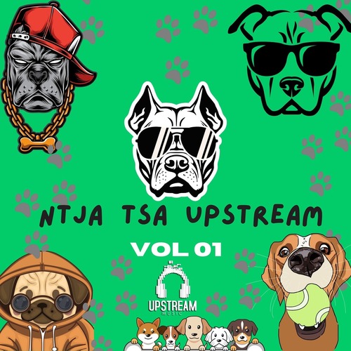 VA - Ntja Tsa Upstream, Vol. 1