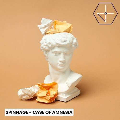 Spinnage - Case of Amnesia