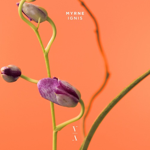 MYRNE - Ignis (Original Mix)