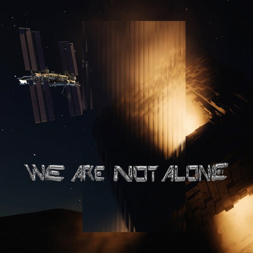 VA - Ellen Allien pres. We Are Not Alone, Pt. 8