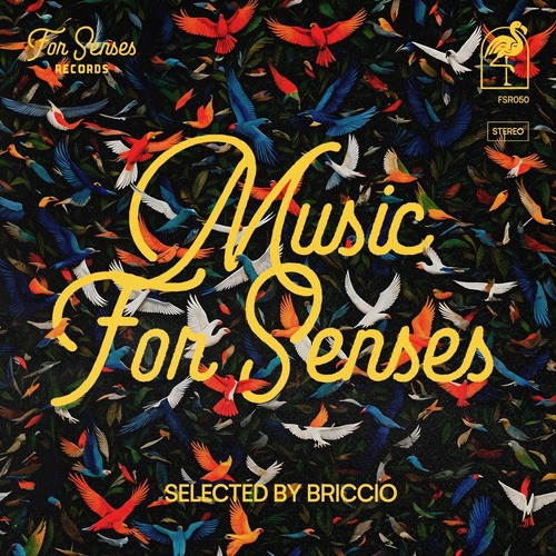 VA - Music for Senses - ADE 2024 Compiled by BRICCIO