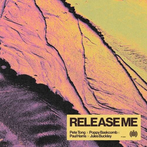 Paul Harris, Pete Tong, Jules Buckley, Poppy Baskcomb - Release Me (Club Mix)