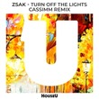 Zsak - Turn Off The Lights (CASSIMM Extended Remix)