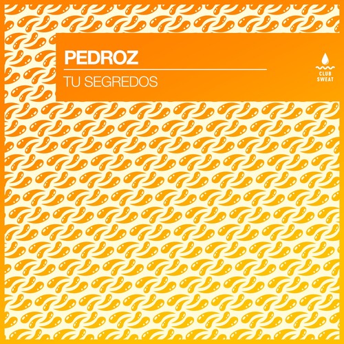 Pedroz - Tu Segredos (Extended Mix)