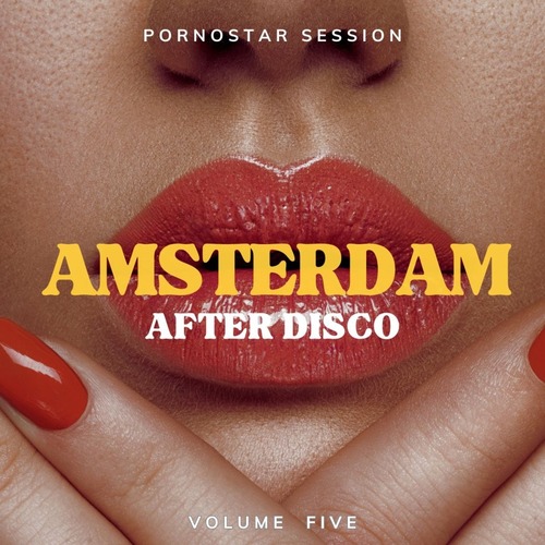 VA - Amsterdam After Disco (Volume Five)   PornoStar Records 