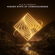 Firebeatz, Alok - Higher State Of Consciousness (Extended Mix)