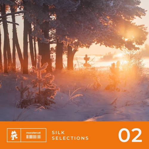 VA - Silk Selections 02