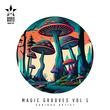 VA - Magic Grooves Vol 5