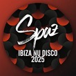 VA - Ibiza Nu Disco 2025