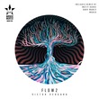 Victor Vergara - Flow2