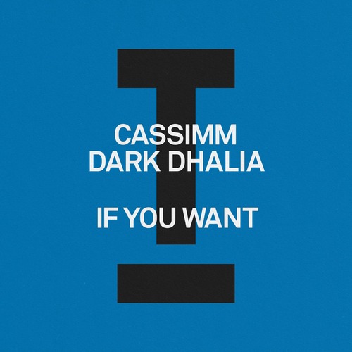 CASSIMM, Dark Dhalia - If You Want