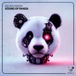 Silver Panda - Sound of Panda