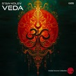 Stan Kolev - Veda