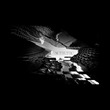 Andfølk - Siénteme
