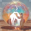 Lucero, Cafe De Anatolia, Zetter - Gesange