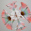 Arpezma - Enigma